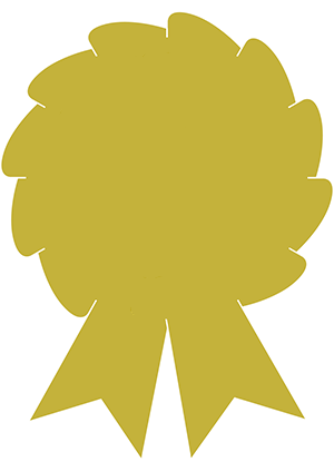 Gold Award